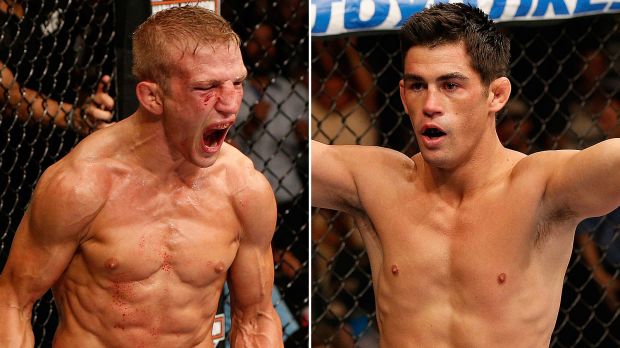 Dillashaw vs Cruz
